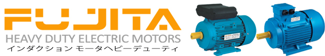 Fujita Banner