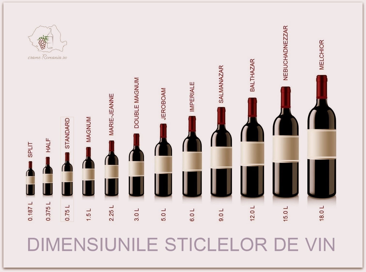 Wine Bottle Sizing