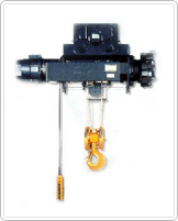 Mono Rail Type Hoist