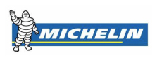 Project Reference Logo PT Michelin Indonesia