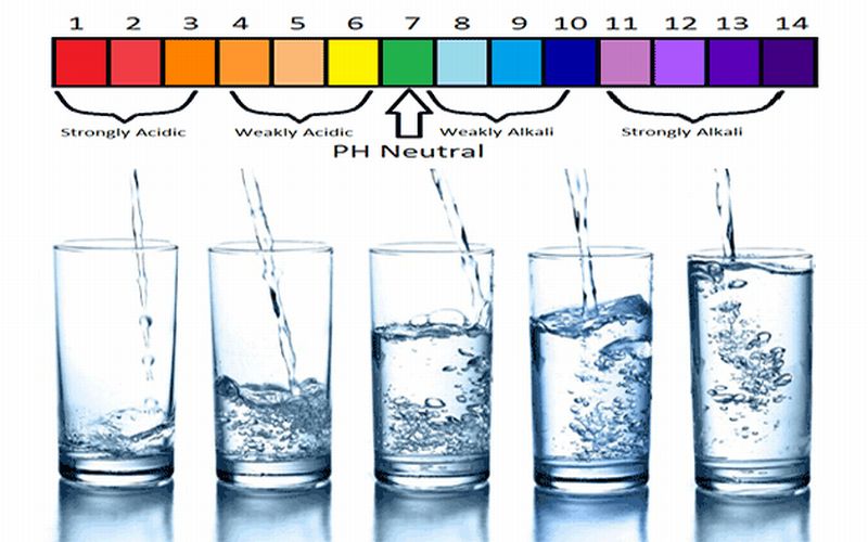 Perbedaan Air Reverse Osmosis Dengan Air Alkali