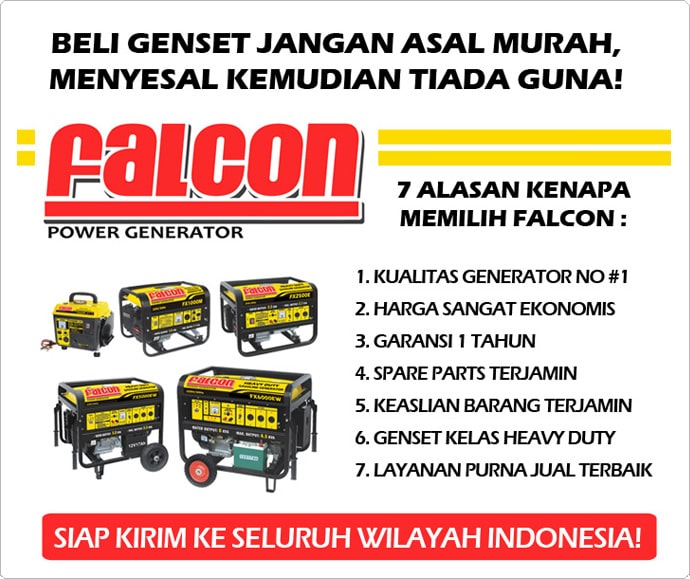 Falcon Gasoline Generator 5