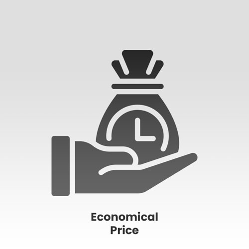 Features-Economical-Price