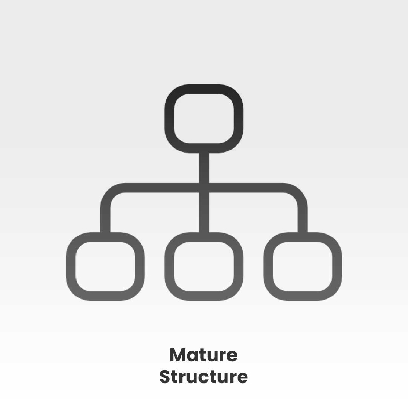 Mature Structure