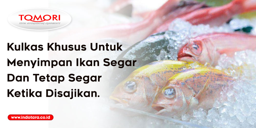 Kulkas Khusus Untuk Menyimpan Ikan Segar Dan Tetap Segar Ketika Disajikan