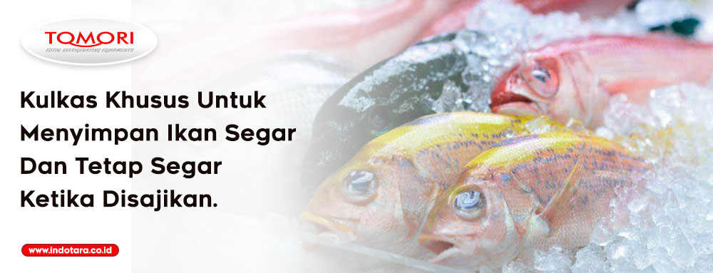 Kulkas Khusus Untuk Menyimpan Ikan Segar Dan Tetap Segar Ketika Disajikan