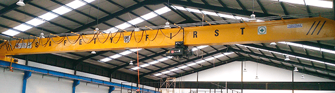 JENIS HOIST CRANE