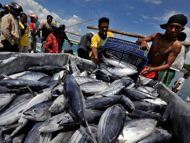 Nelayan Ikan