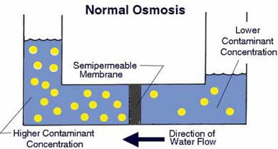 Cara Kerja Mesin Reverse Osmosis