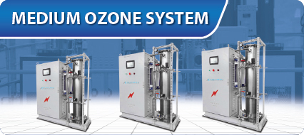 Medium Ozone System