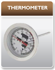 Thermometer